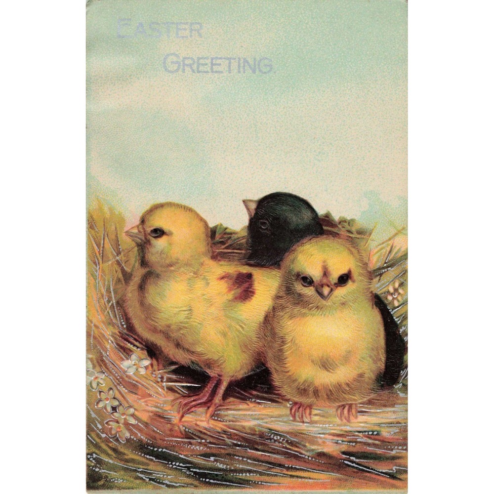Easter Postcard Three Baby Chicks in Nest Black & Yellow Embossed Antique c1910 - Picture 1 of 2